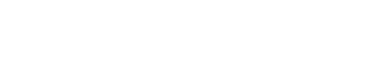 WS Media