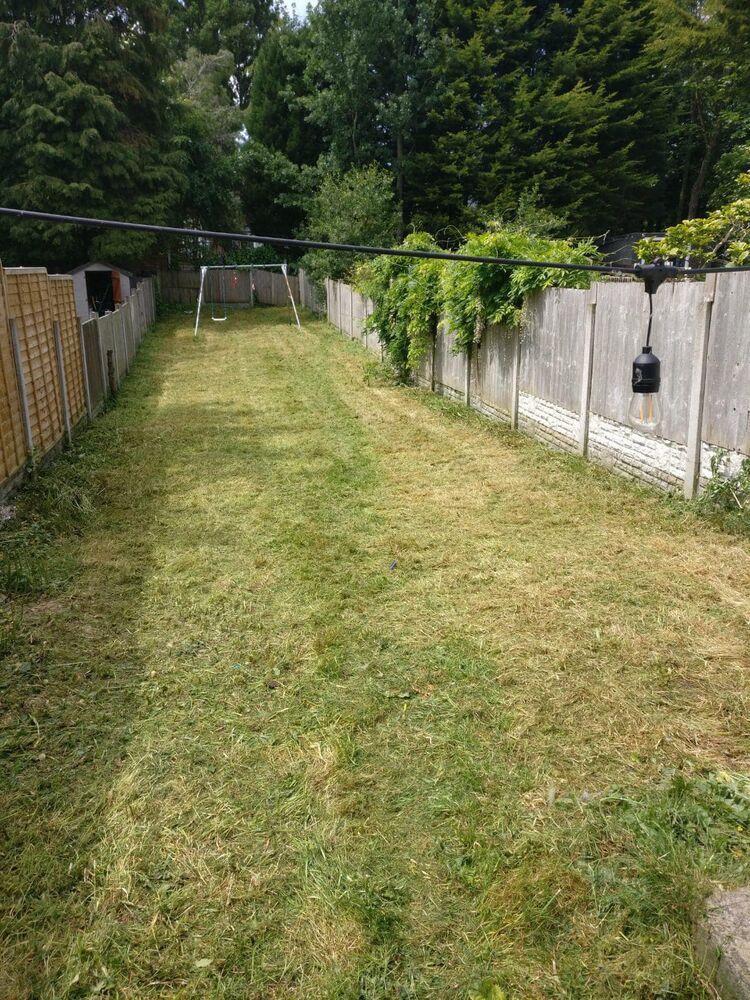 A long back garden cut through and cleared to the boundary.