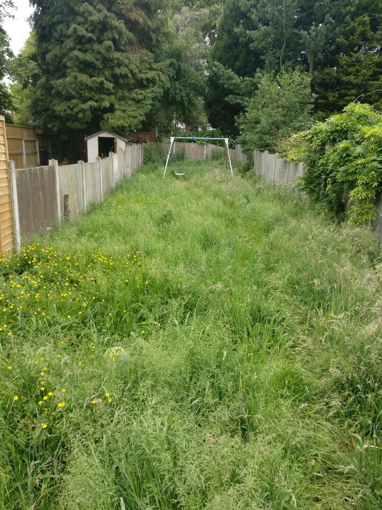 Before: A long back garden taken back from waist-high grass and cut through.
