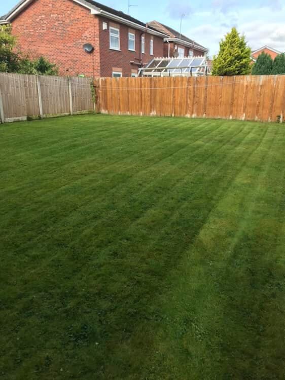 A striped lawn enclosed by close-board fence panels.