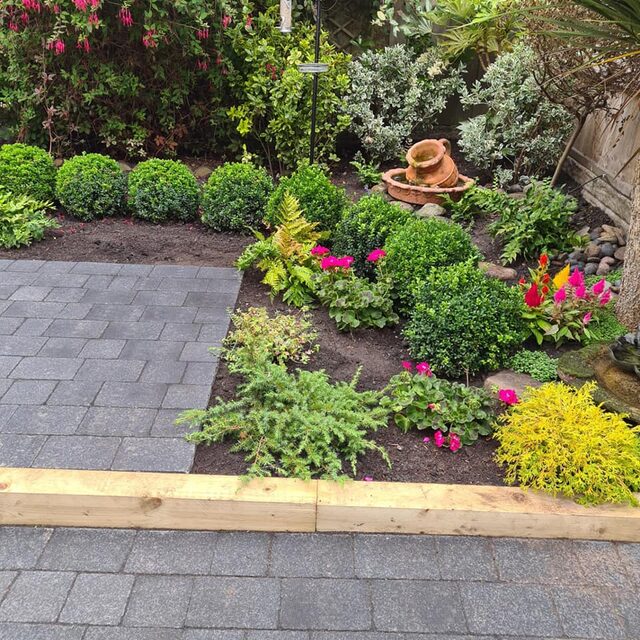 A planted border of clipped box, shrubs and bedding, edged with new timber sleepers.