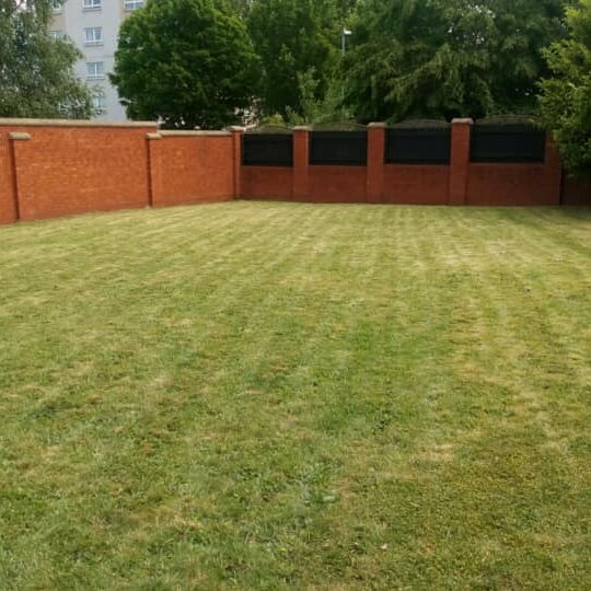 A back lawn mown into clean stripes up to a brick boundary wall.