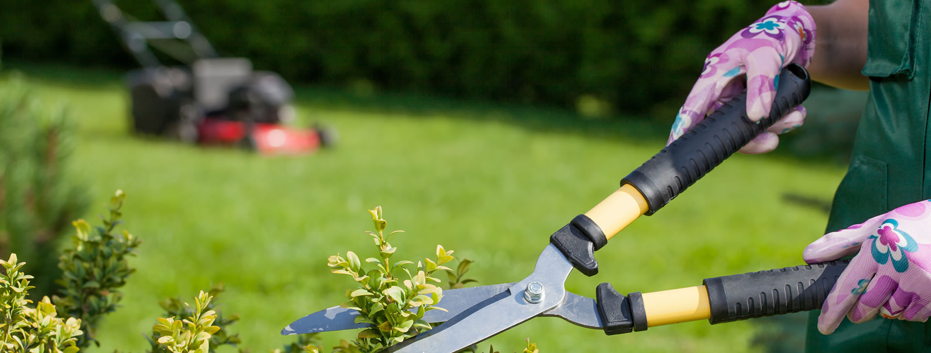 Professional and Quality Garden & Property Services