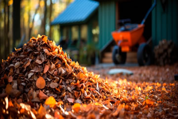 Leaf Clearance