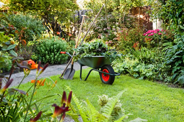 Overgrown Garden Clearance